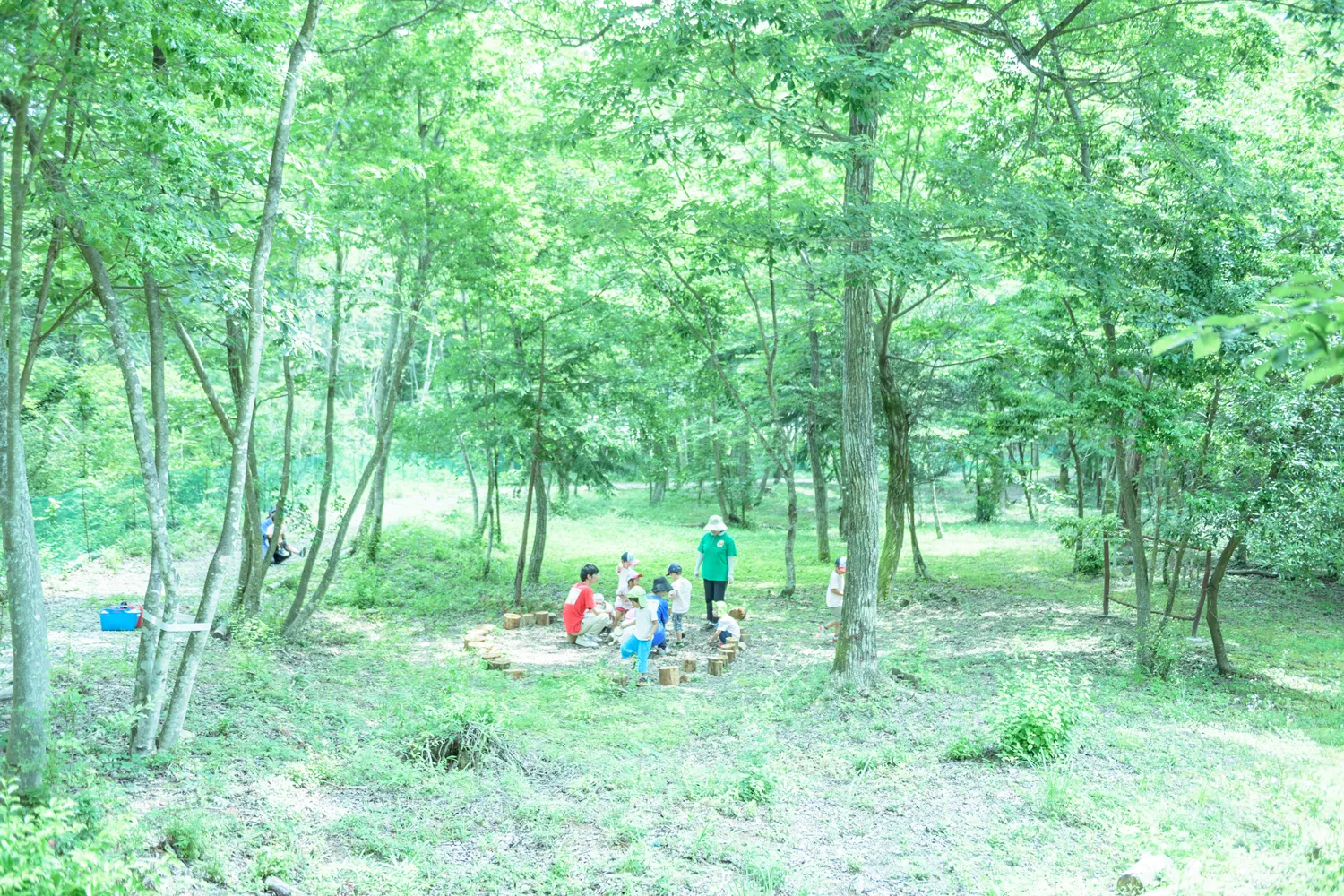 指導者の目線の写真