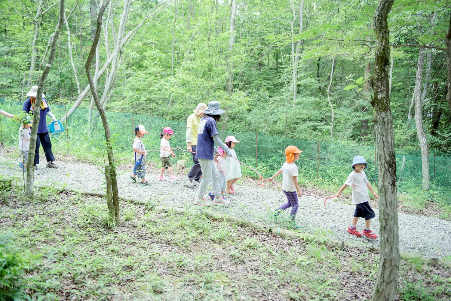 エイクソンの森の写真