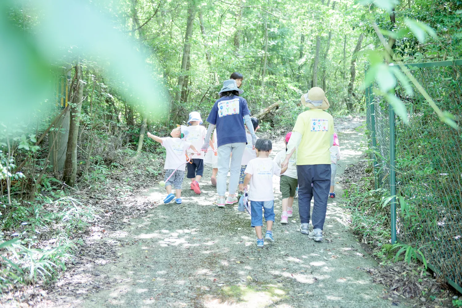 エイクソンの森の写真