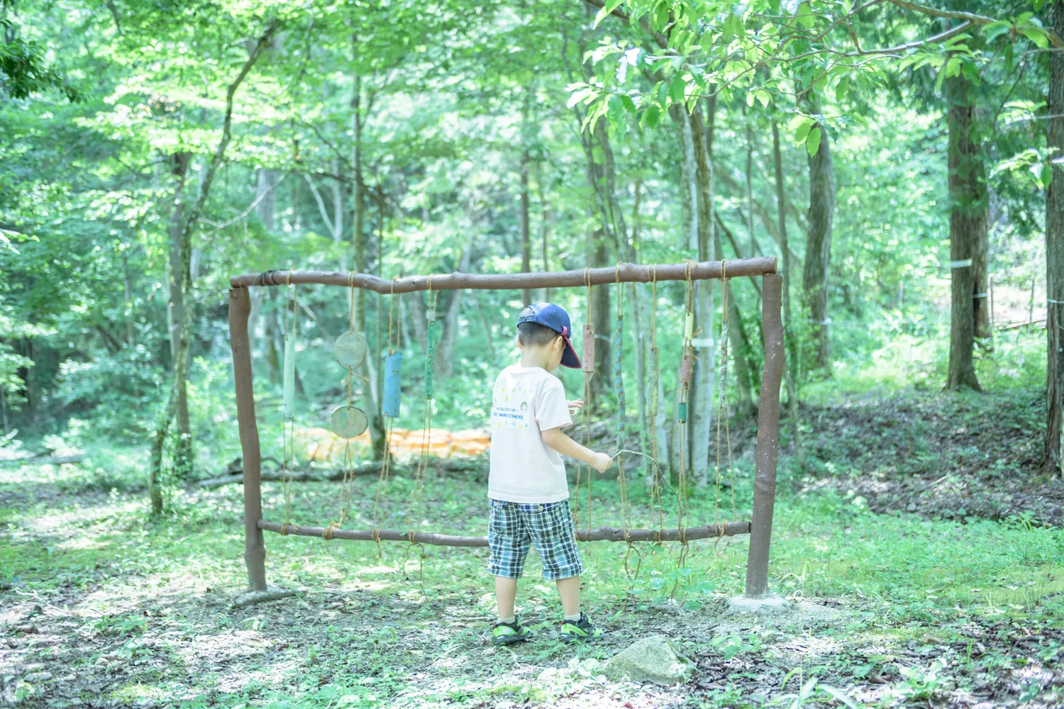 エイクソンの森の写真