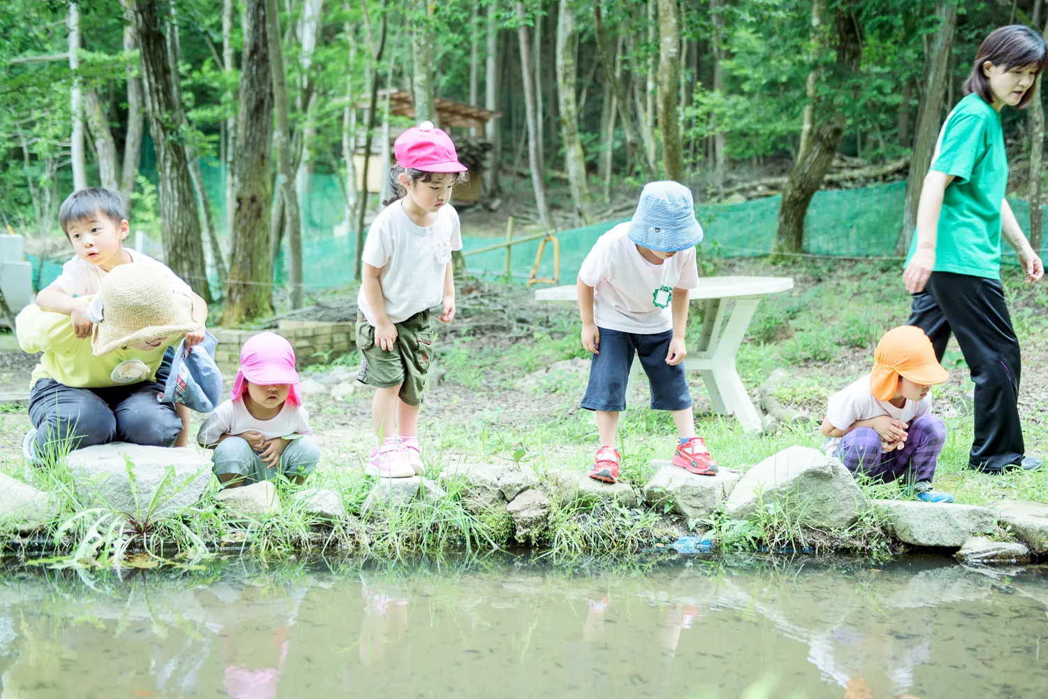 エイクソンの森の写真