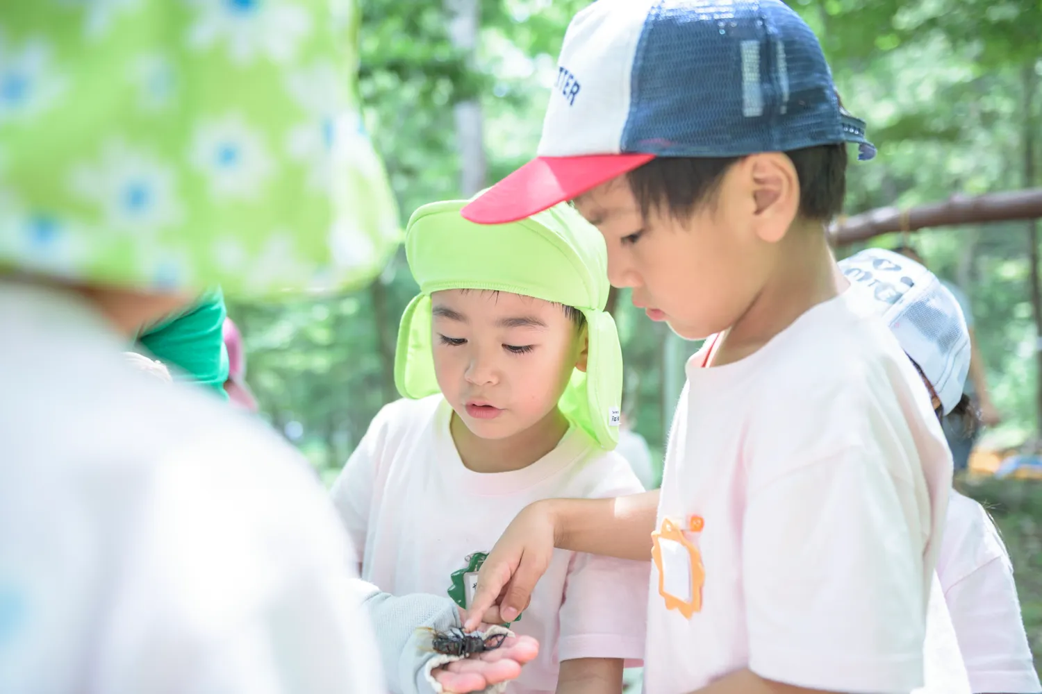 エイクソンの森の写真