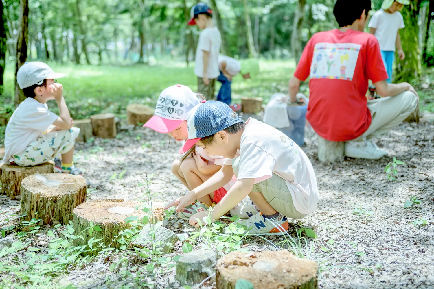 エイクソンの森の写真