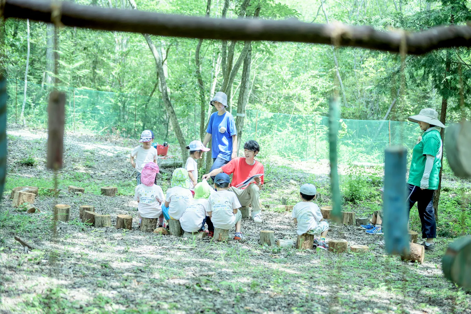 エイクソンの森の写真