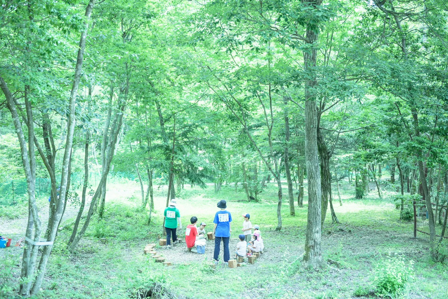 エイクソンの森の写真