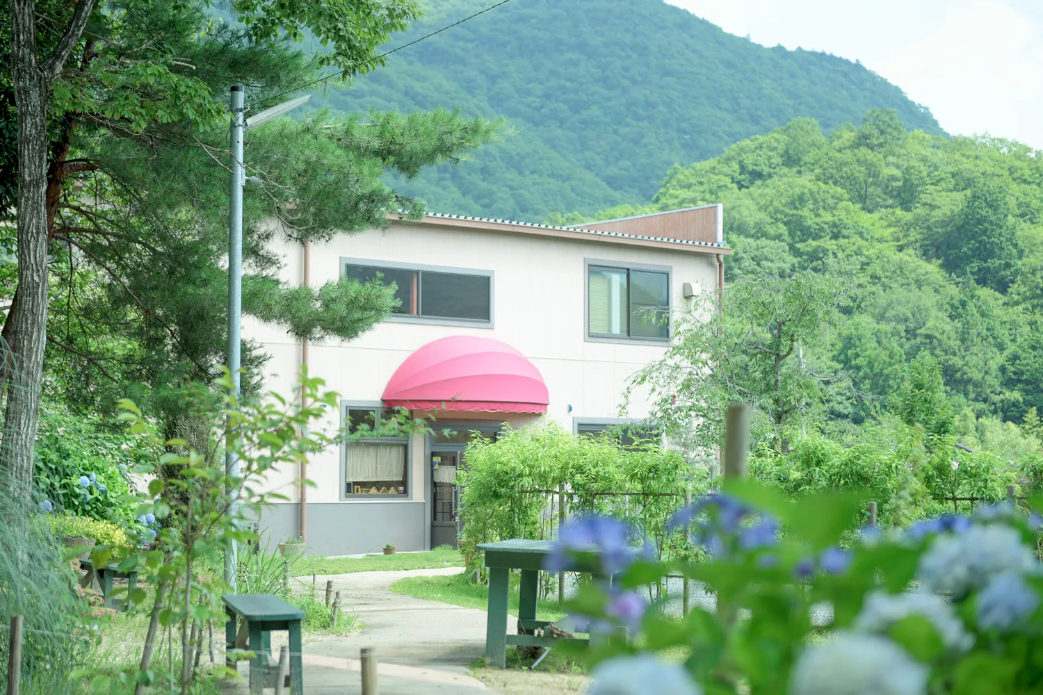 エリクソン校の写真