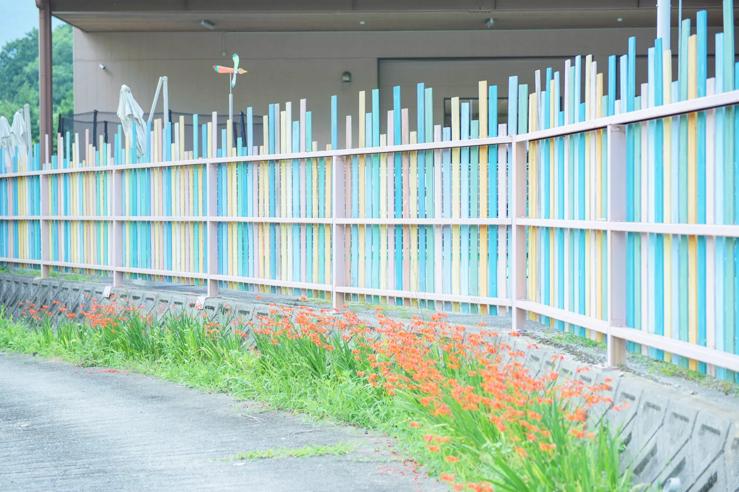 エリクソン校の写真